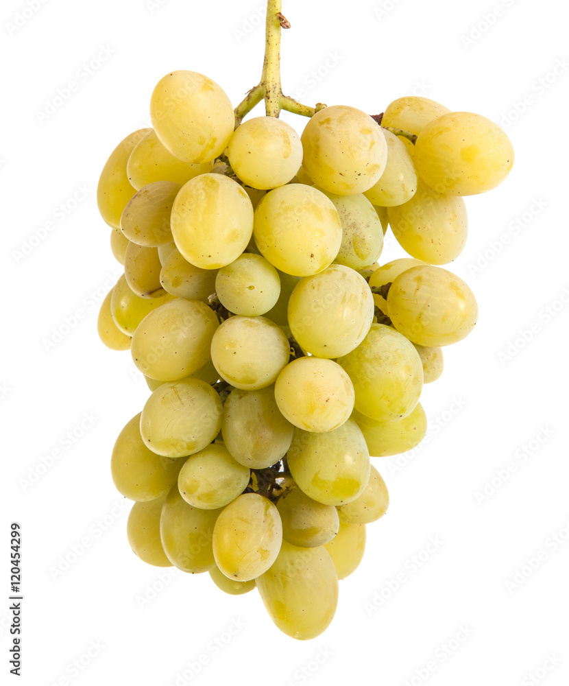 Bunch of ripe yellow grapes. isolated on white background Bunch of ripe yellow grapes. isolated on white background