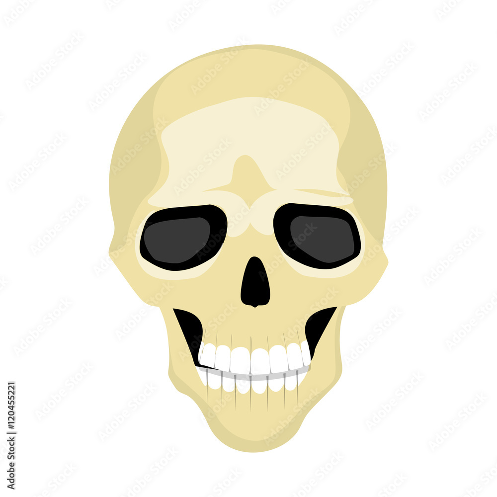 Cartoon isolated human skull on white background