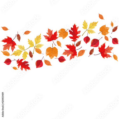 Autumn Leaves Frame
