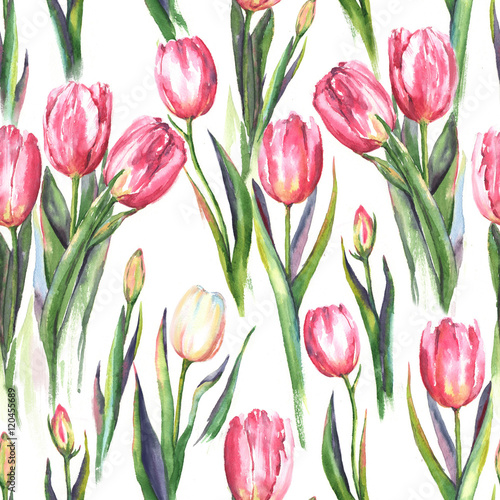 Hand-drawn watercolor seamless pattern with pink and white tulip flowers. Repeated spring print for the textile  wallpaper. Tender and beautiful background