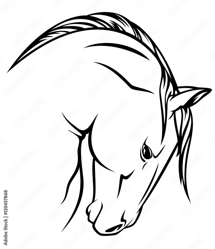 horse head black and white vector design horse head black and white vector design