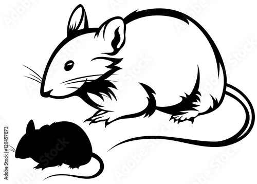 mouse silhouette and black and white outline