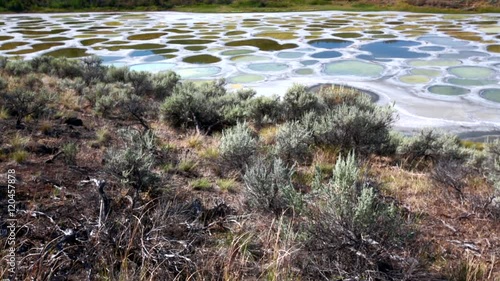 Spotted Lake in British Columbia, Canada