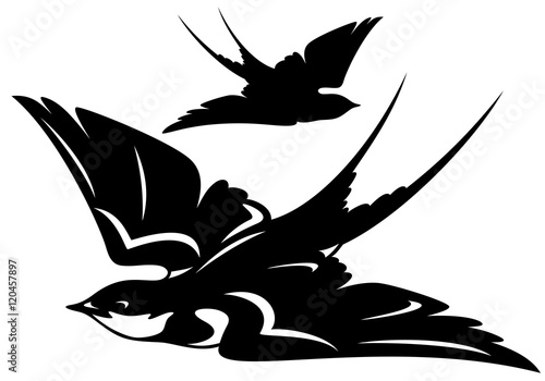 swallow bird vector outline and silhouette