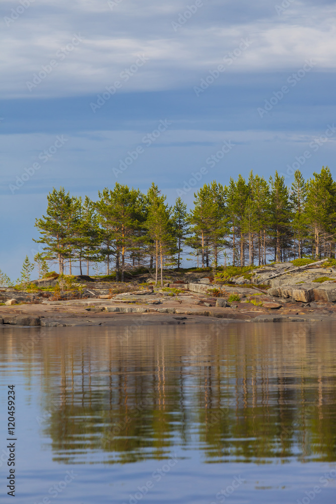 island with pine trees in north sea