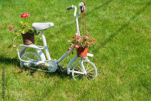 Old white children bicycle with beautiful flowers standing on th