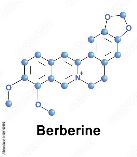 Berberine molecule structure