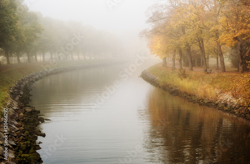 Photography Landscape with tree lined canal on a foggy autumn morning.