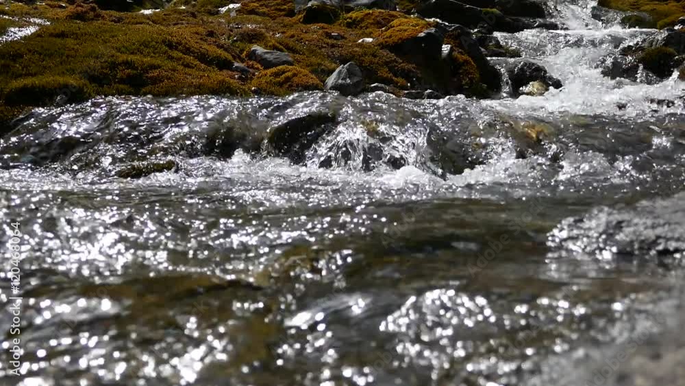 engstligenalp, adelboden, schweiz 