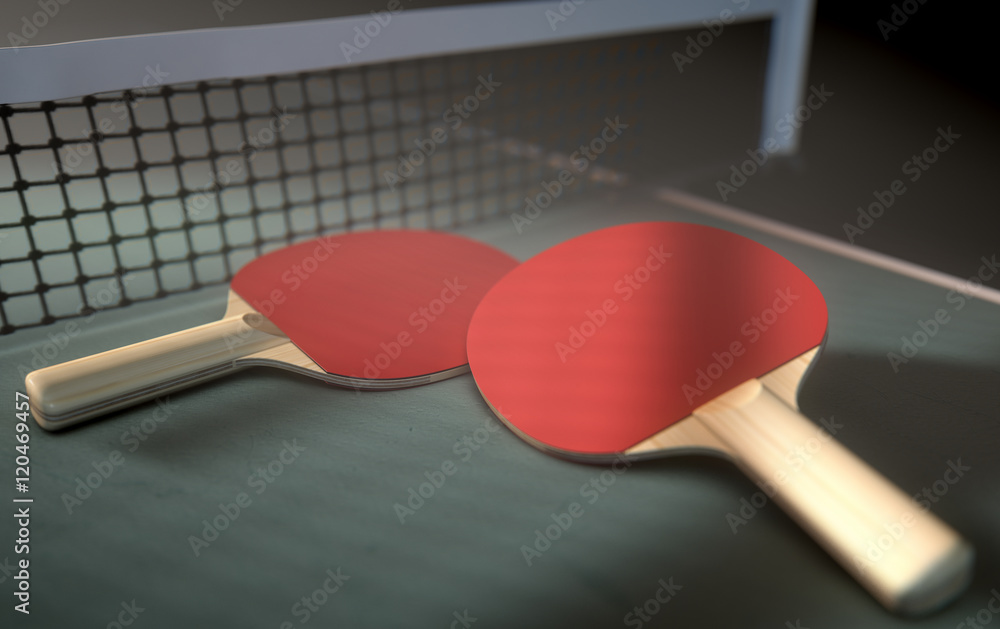 Table Tennis Table And Paddles Table Tennis Table And Paddles