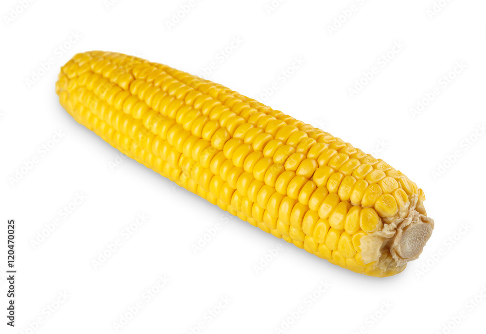 One yellow corncob or corn isolated on white background One yellow corncob or corn isolated on white background