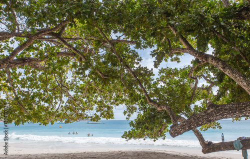 Fototapeta Naklejka Na Ścianę i Meble -   plage d'anse Lazio, Praslin, Seychelles 