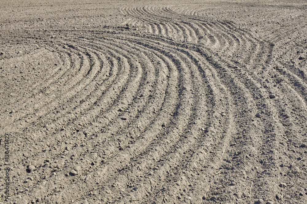 Close up picture of plowed agricultural field in summer time. Close up picture of plowed agricultural field in summer time.