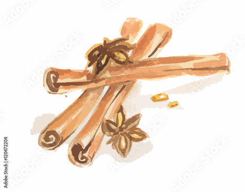Watercolor anise and cinnamon. Isolated spice on white background. Seasoning for meal or dessert.