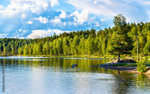 Canvas Print Sognsvann lake north of Oslo