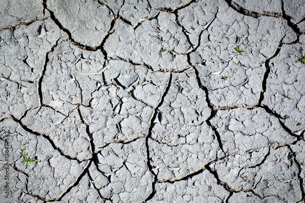 Dry soil with cracked surface Dry soil with cracked surface
