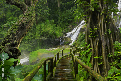 Fototapete Thailand jungle with waterfalls