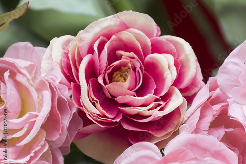 craft fabric roses