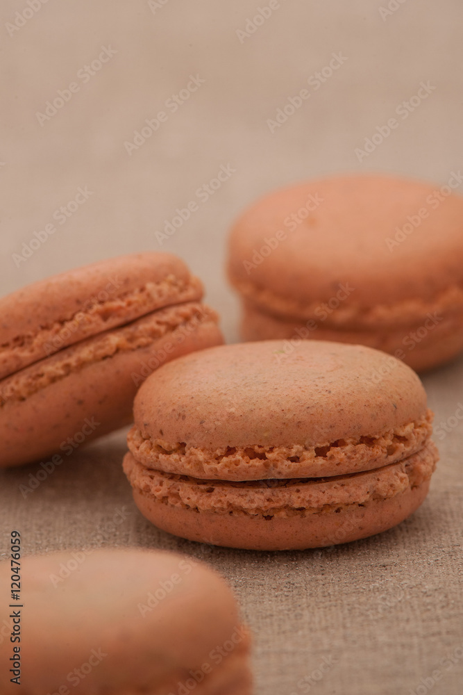 biscuits bright brown circular shape biscuits bright brown circular shape