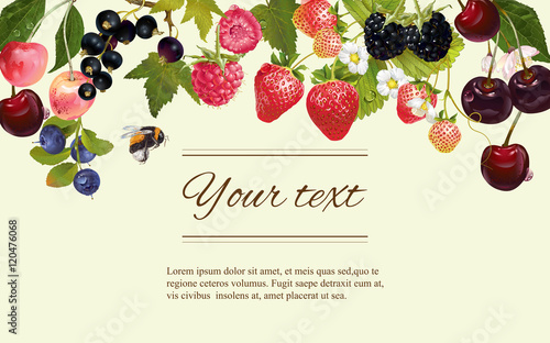 Berry horizintal banner
