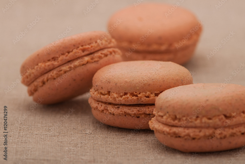 biscuits bright brown circular shape biscuits bright brown circular shape