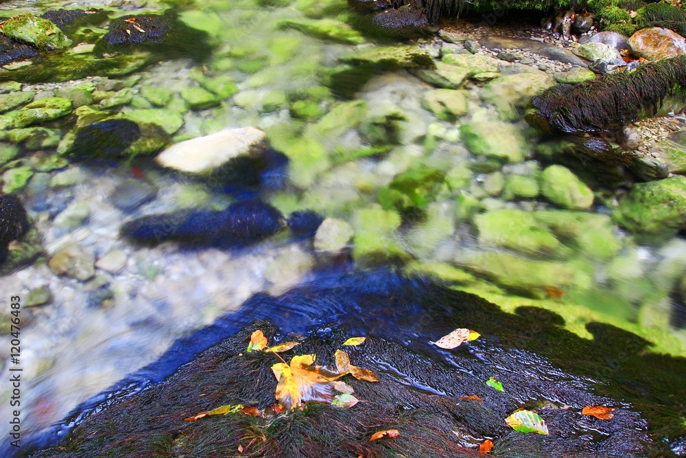 Pure water in river