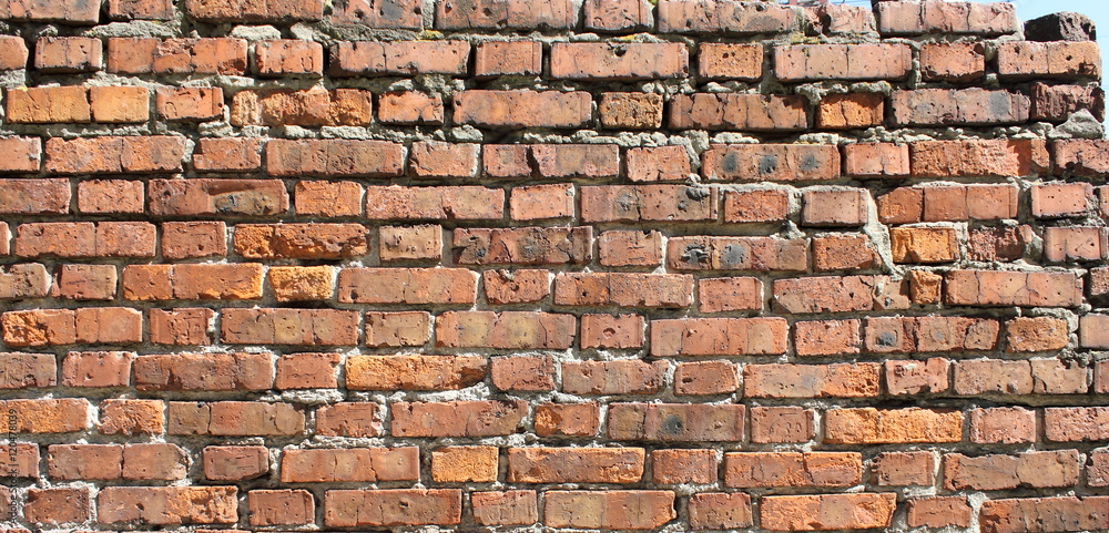 Fototapeta premium a fragment of a brick wall