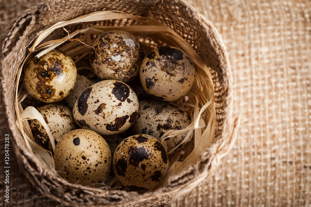 Fresh quail eggs at wooden plate closeup Fresh quail eggs at wooden plate closeup