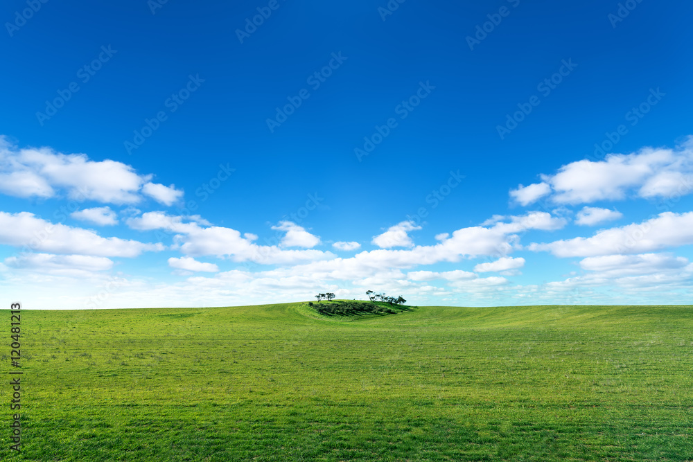Green field with sun and blue sky with clouds