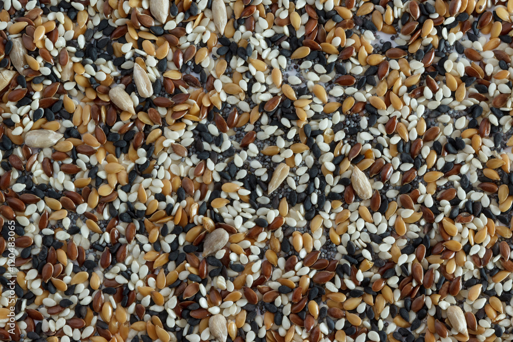 Seed background Seed background