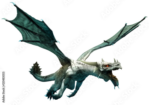 White dragon 