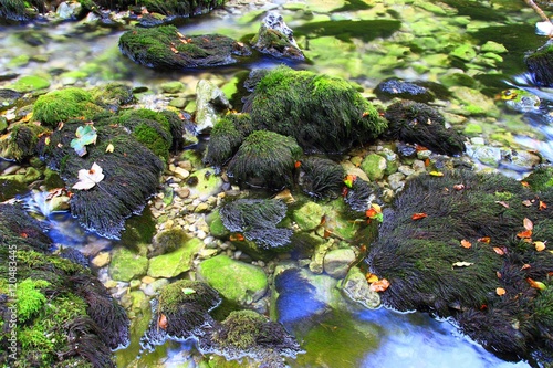 Foto Rocks and pure water in Kamacnik river, Croatia