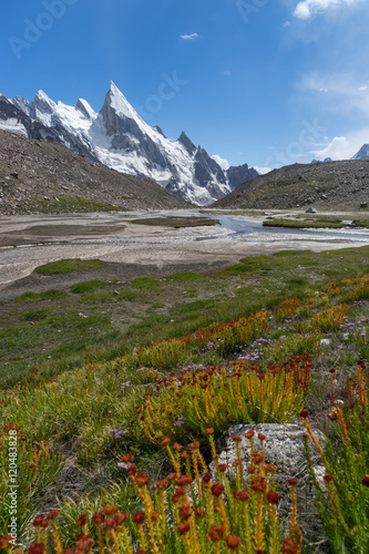 Laila peak and flower at Khuspang camp photo