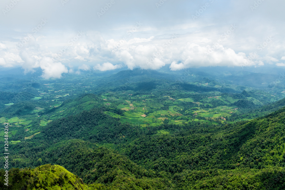 Aerial view of agricultural area in mountain valley landscape in rain forest
