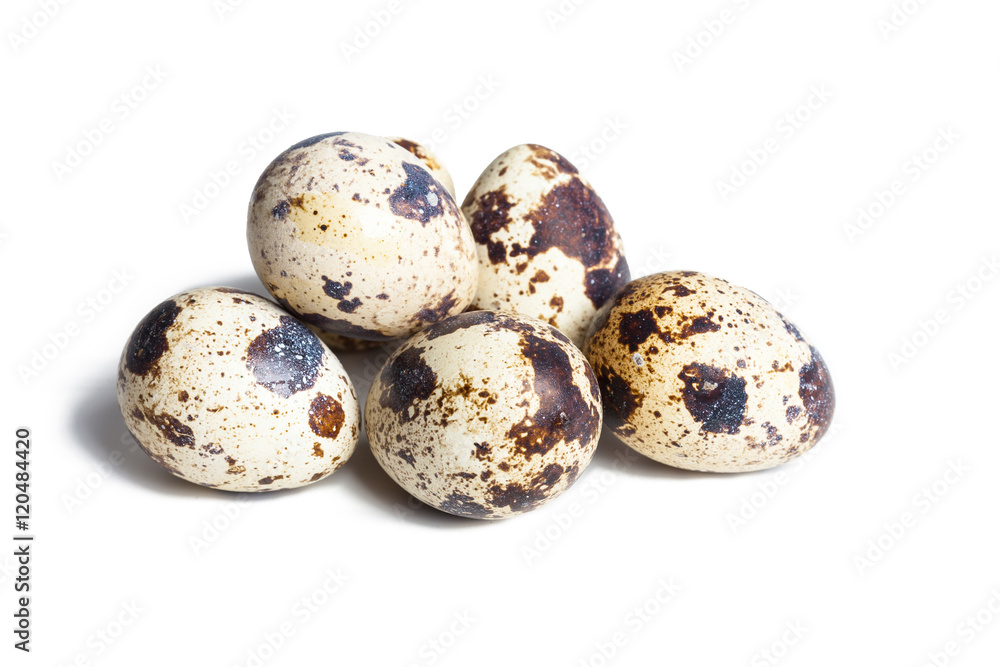 Quail eggs are isolated on a white background Quail eggs are isolated on a white background