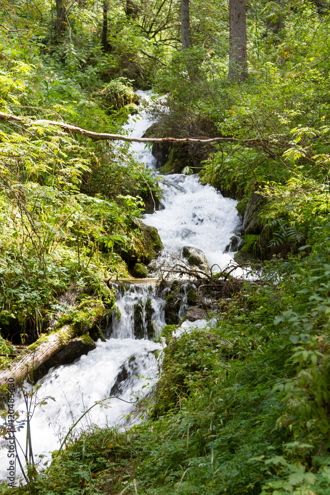 Beautiful creek in the mountains of Kazakhstan Beautiful creek in the mountains of Kazakhstan