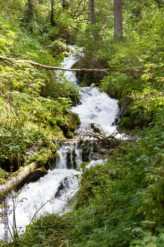 Beautiful creek in the mountains of Kazakhstan