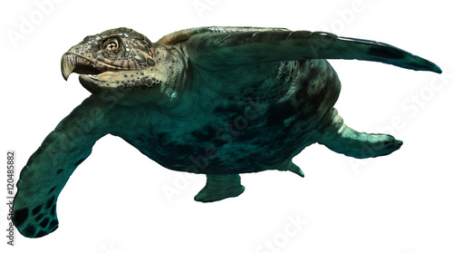Archelon prehistoric turtle 3D illustration photo