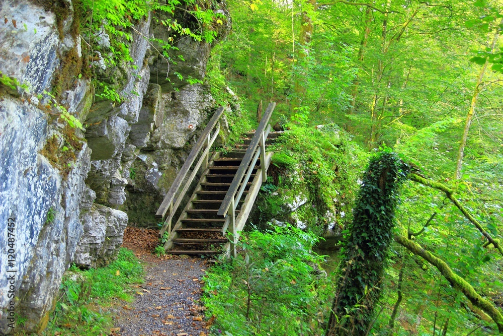 Obraz premium Wooden stairs on walking path 