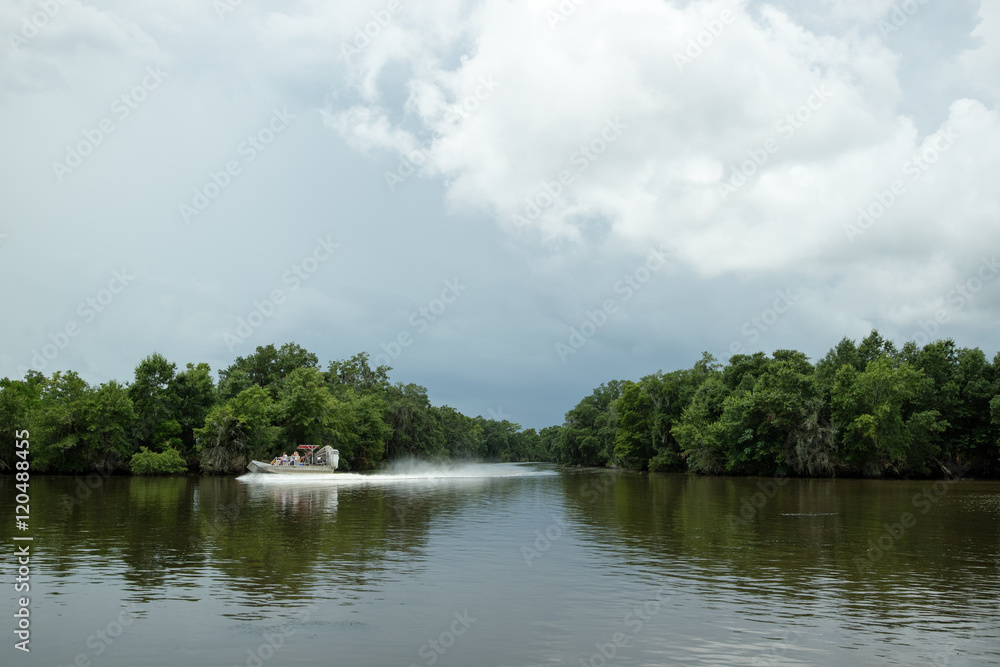 Airboat tour of New Orleans Swamp