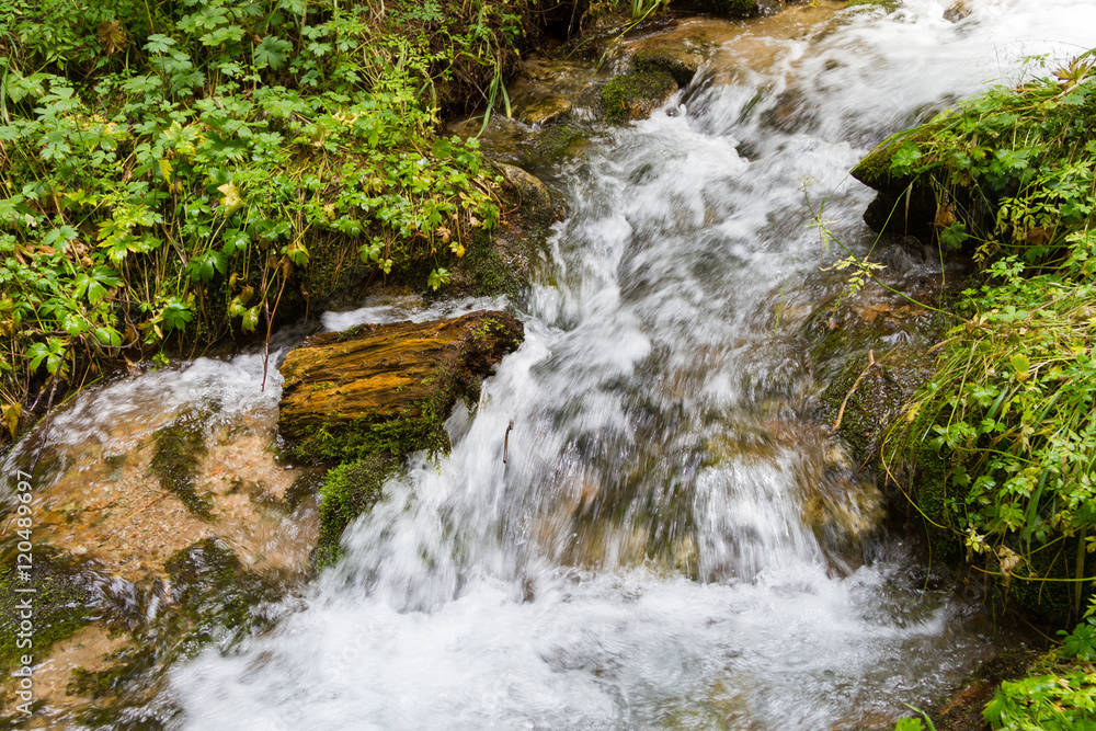 Obraz premium creek with a threshold