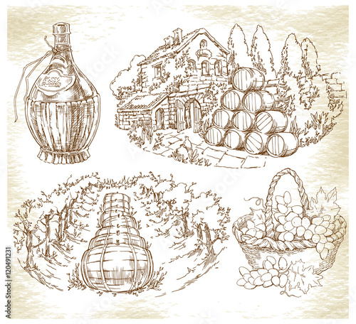 Hand made sketch grape fields and vineyards.