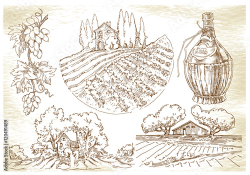 Hand made sketch grape fields and vineyards.