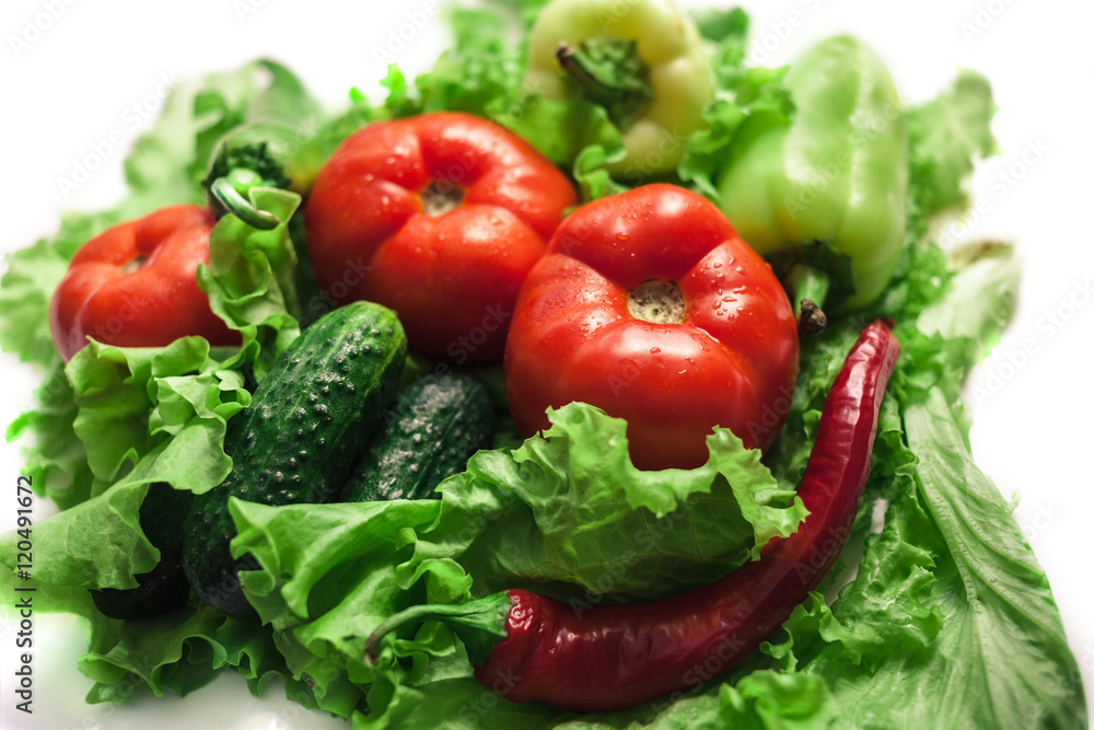 Fresh organic vegetables. Autumn vegetables. Harvesting. Ingredients for the salad. Lettuce, tomatoes, cucumbers, zucchini, eggplant, peppers, chillies. Fresh organic vegetables. Autumn vegetables. Harvesting. Ingredients for the salad. Lettuce, tomatoes, cucumbers, zucchini, eggplant, peppers, chillies.