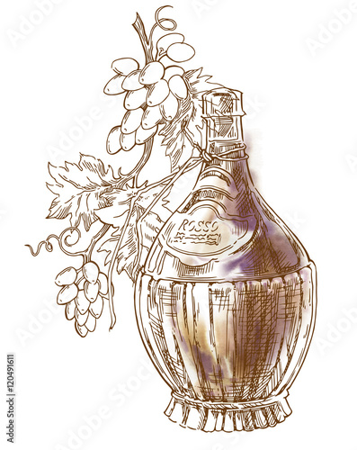Hand made sketch grape fields and vineyards.