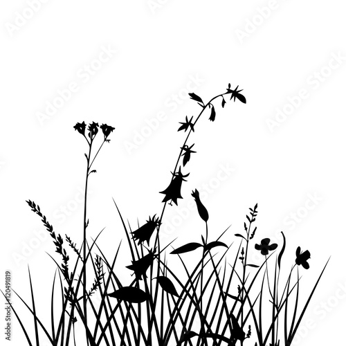 vector silhouettes of flowers and grass © cat_arch_angel