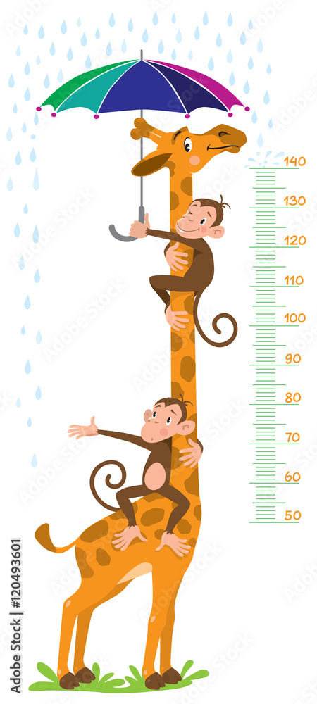 Naklejka premium Giraffe and monkeys. Meter wall or height chart