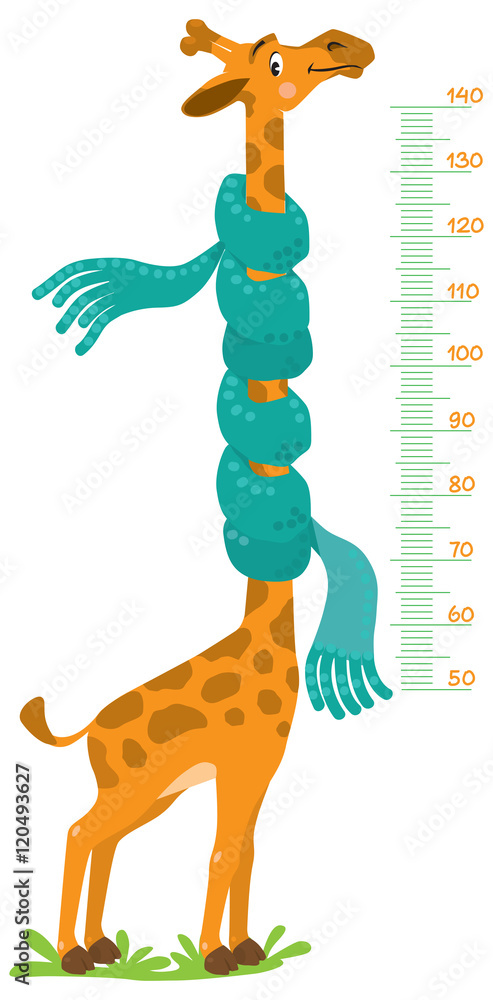 Fototapeta premium Giraffe meter wall or height chart