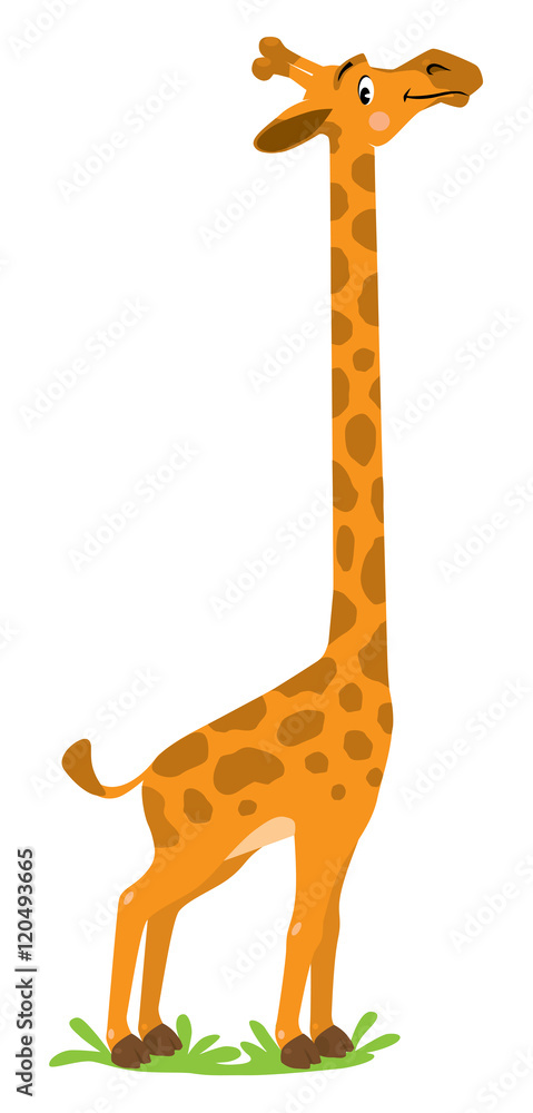 Fototapeta premium Funny smiling Giraffe