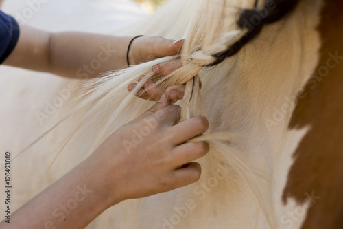 Girl combing a horse